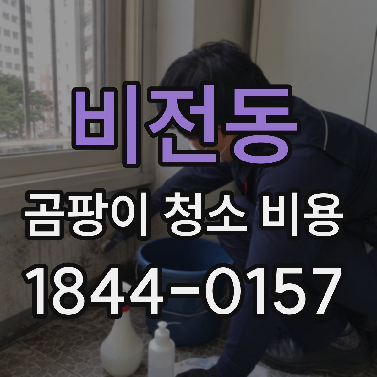 비전동 곰팡이 청소 비용