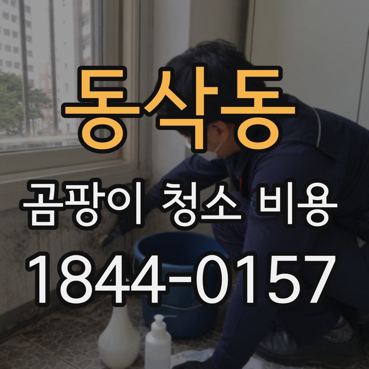 동삭동 곰팡이 청소 비용