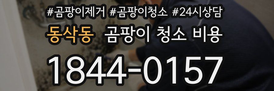 동삭동 곰팡이 청소 비용