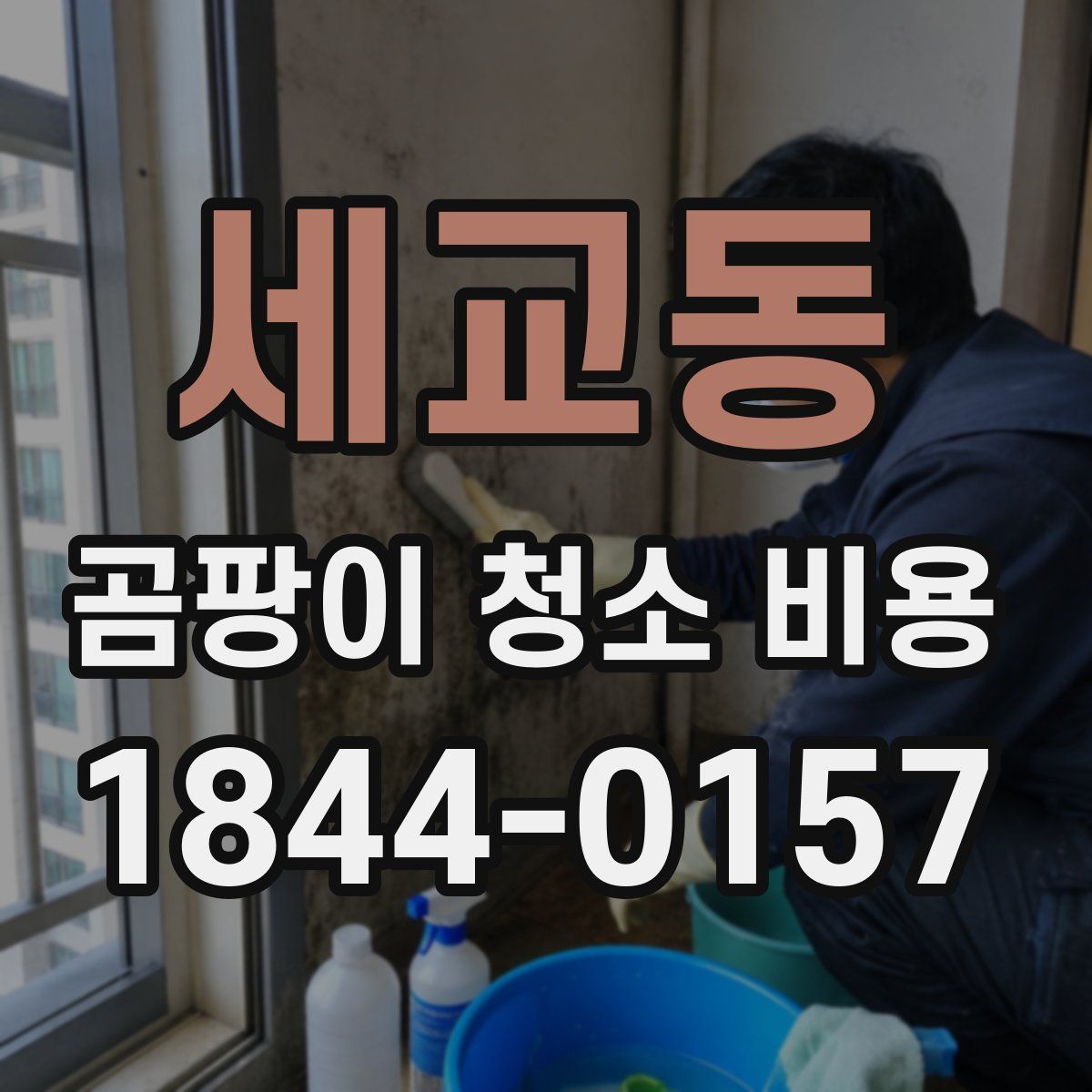 세교동 곰팡이 청소 비용