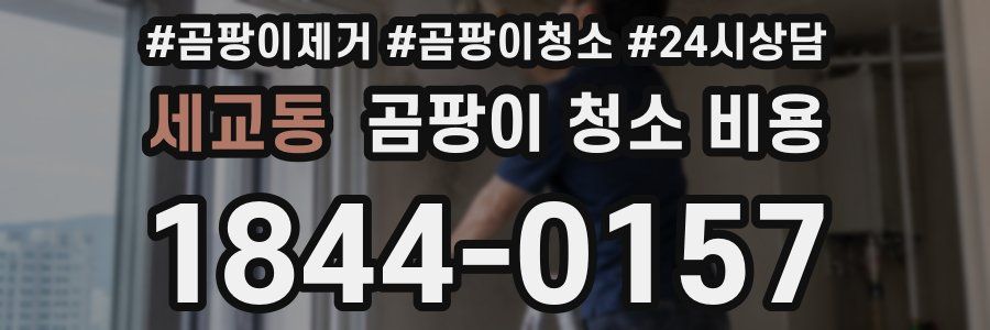 세교동 곰팡이 청소 비용