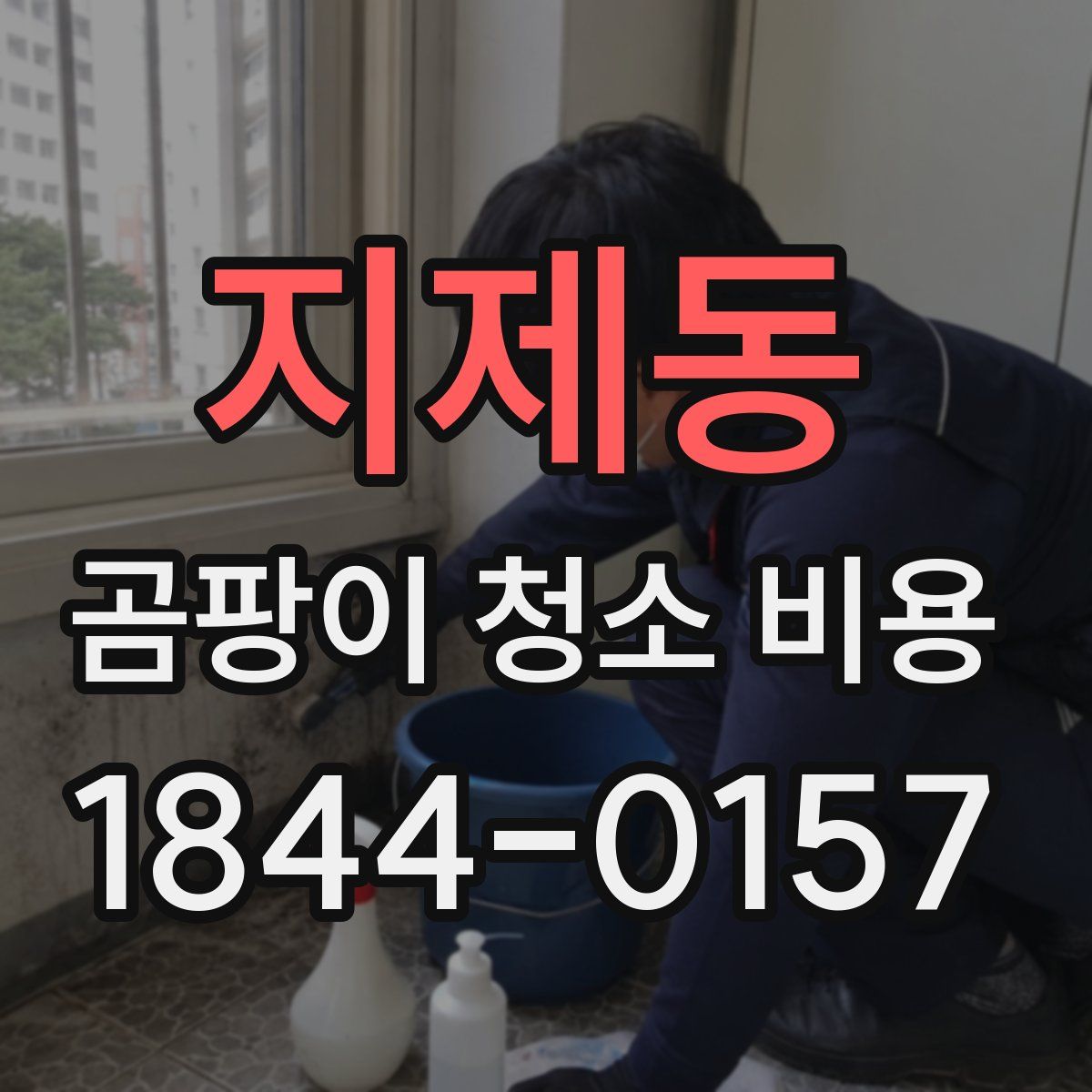 지제동 곰팡이 청소 비용