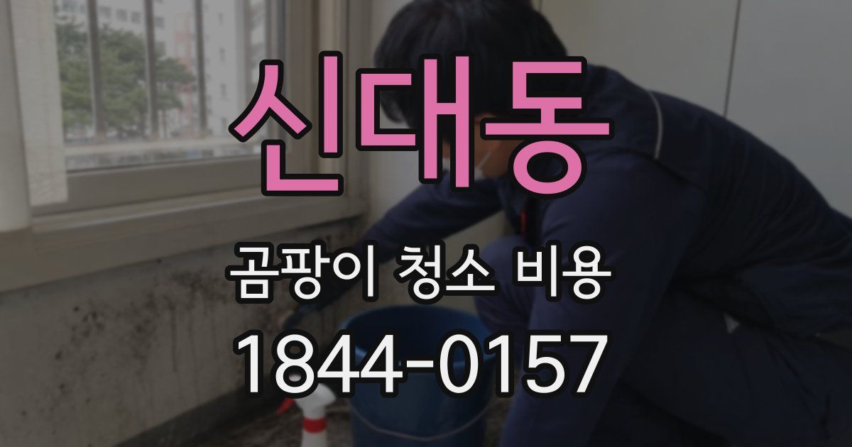 신대동 곰팡이 청소 비용