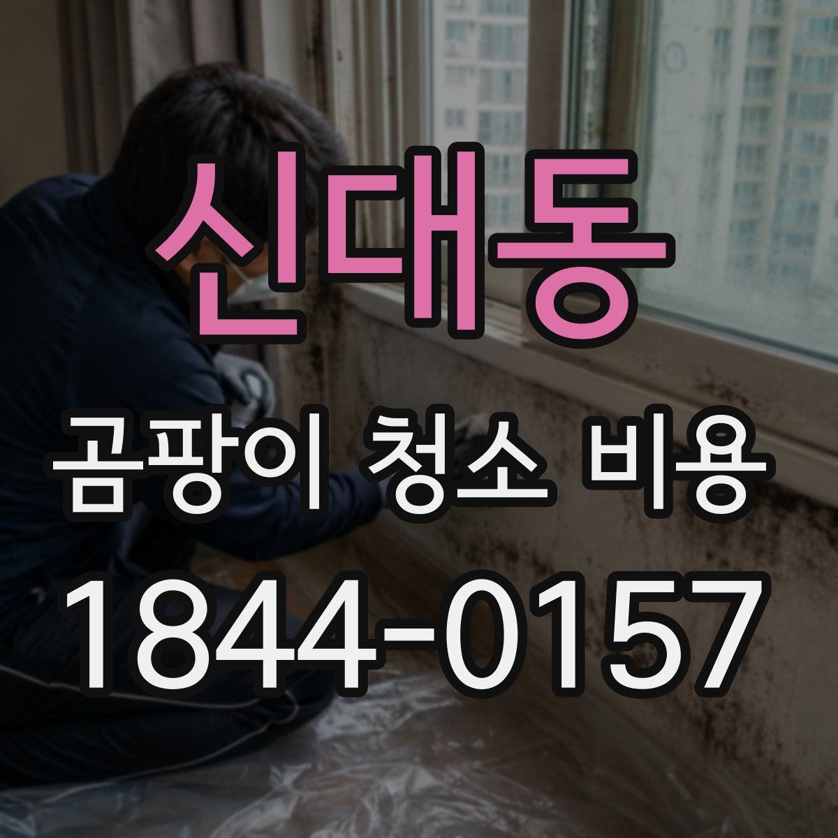 신대동 곰팡이 청소 비용