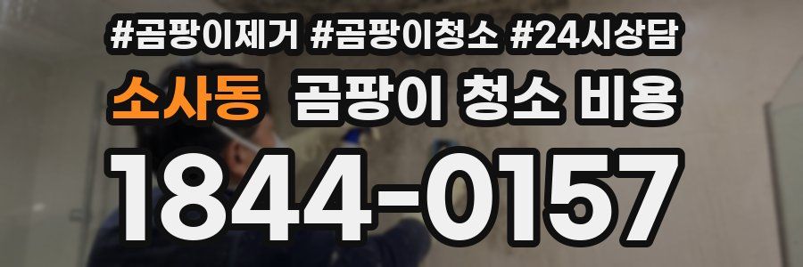 소사동 곰팡이 청소 비용