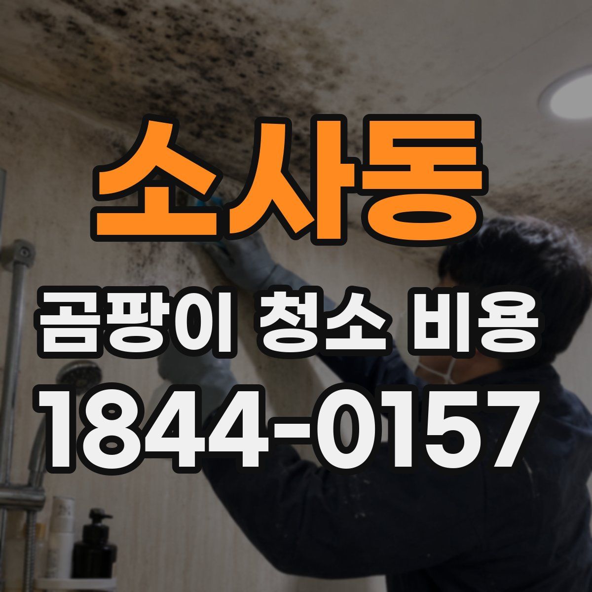 소사동 곰팡이 청소 비용