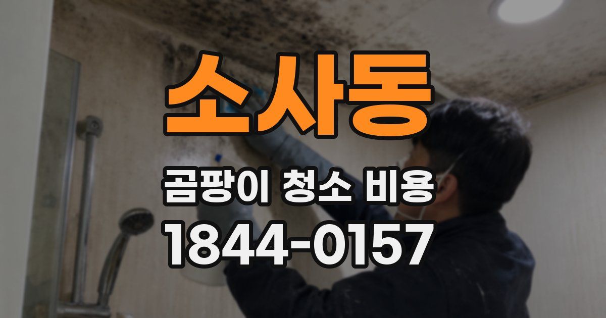 소사동 곰팡이 청소 비용