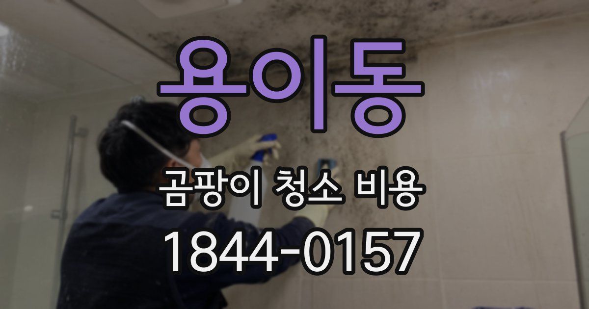 용이동 곰팡이 청소 비용