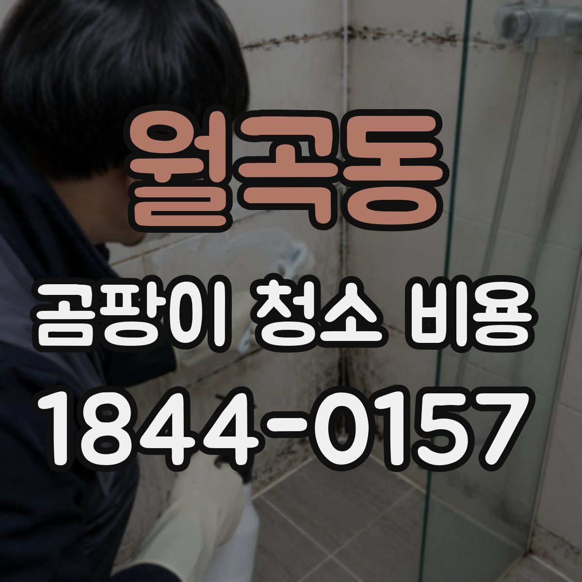 월곡동 곰팡이 청소 비용
