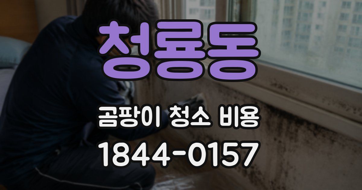 청룡동 곰팡이 청소 비용