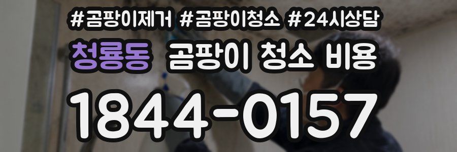 청룡동 곰팡이 청소 비용