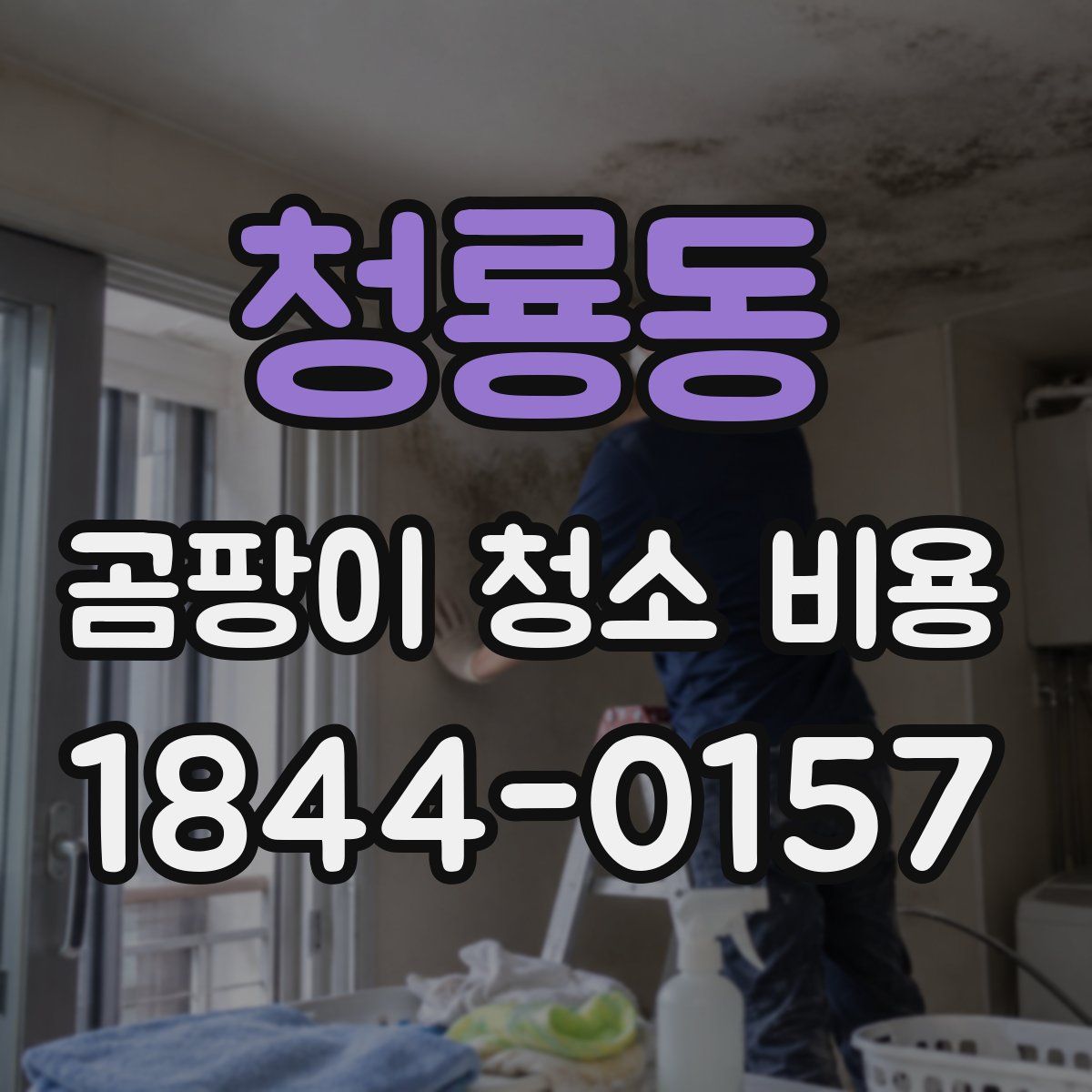 청룡동 곰팡이 청소 비용
