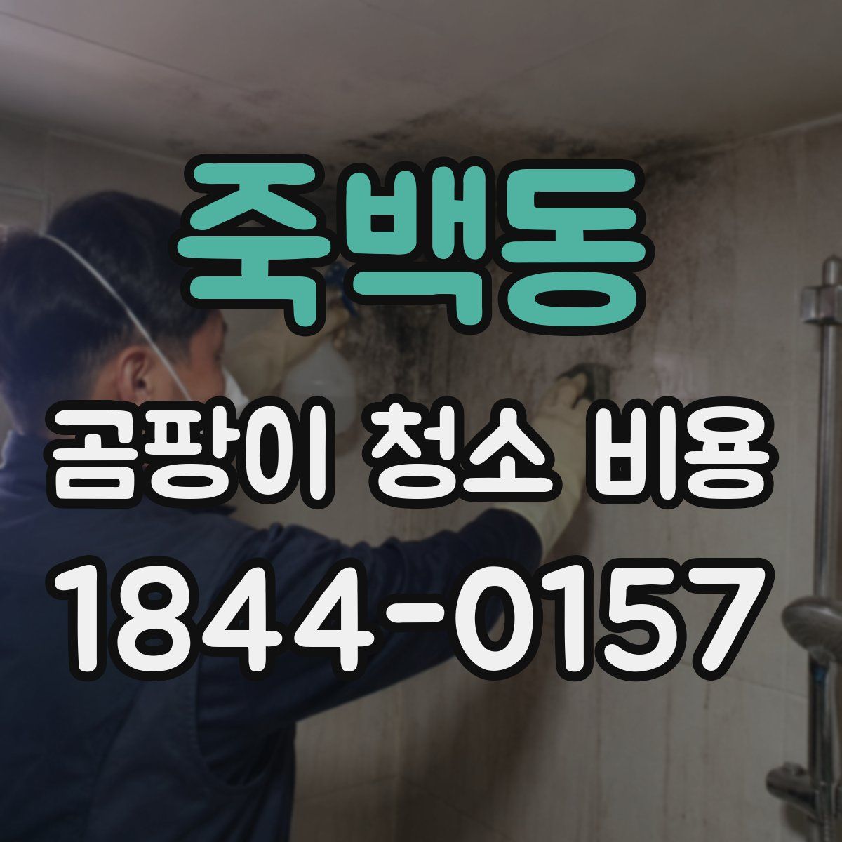 죽백동 곰팡이 청소 비용