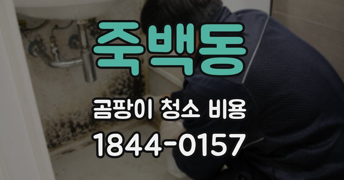 죽백동 곰팡이 청소 비용