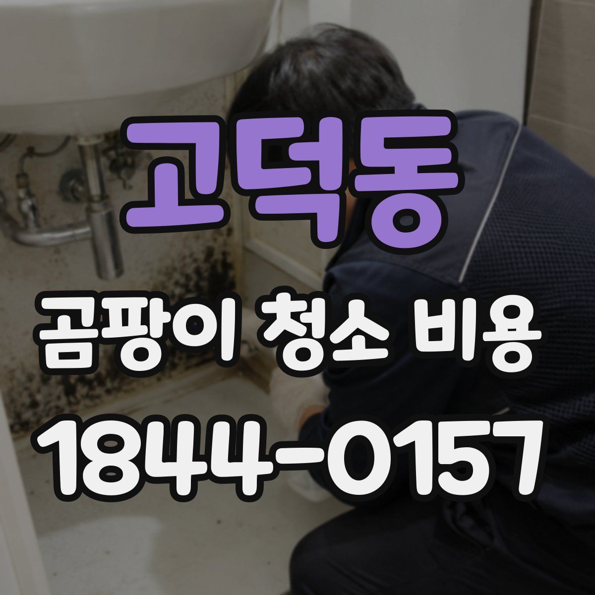 고덕동 곰팡이 청소 비용