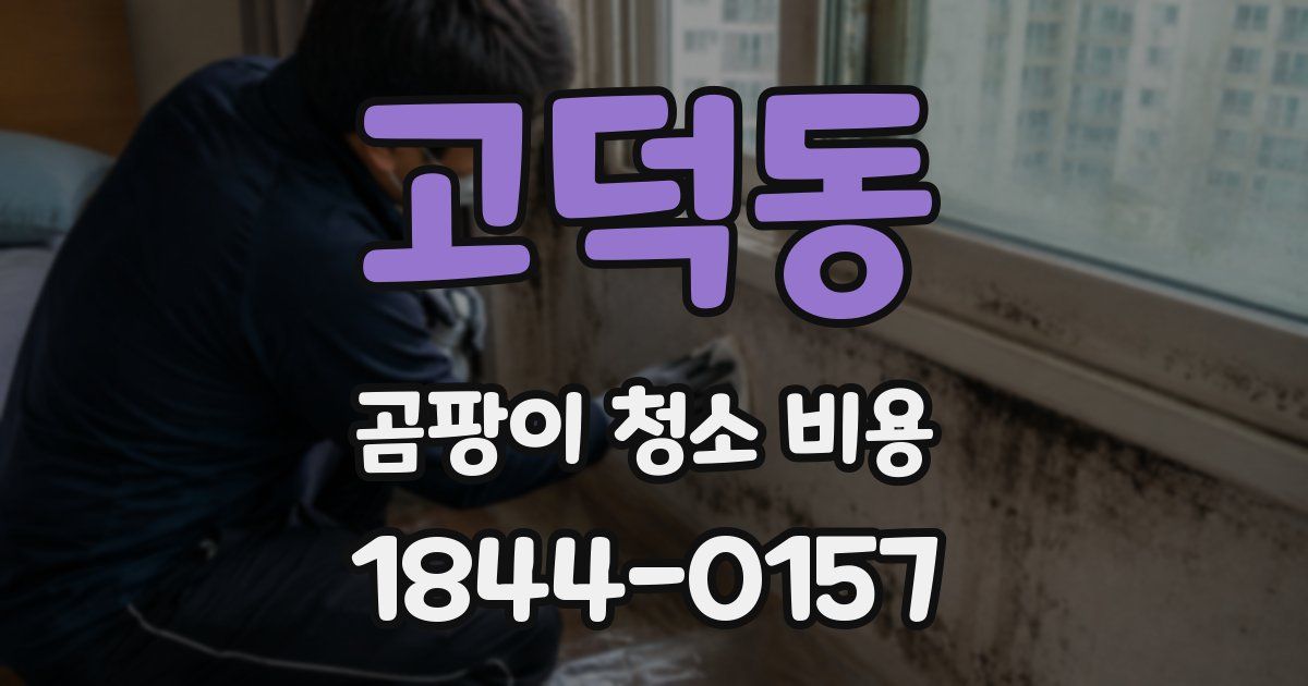 고덕동 곰팡이 청소 비용