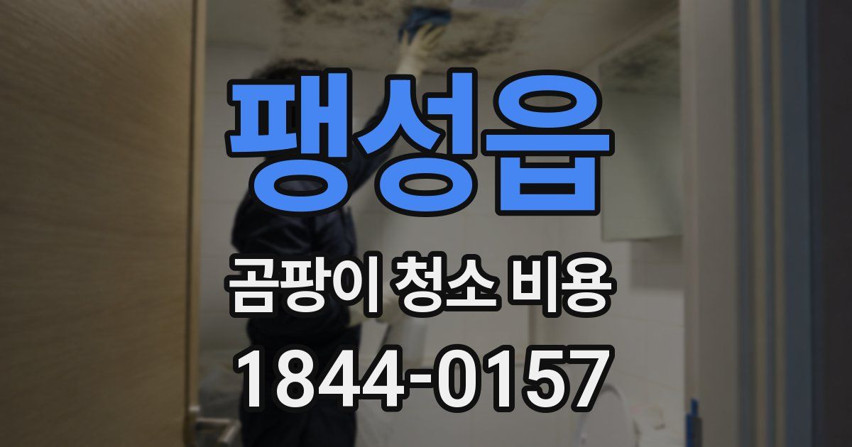 팽성읍 곰팡이 청소 비용