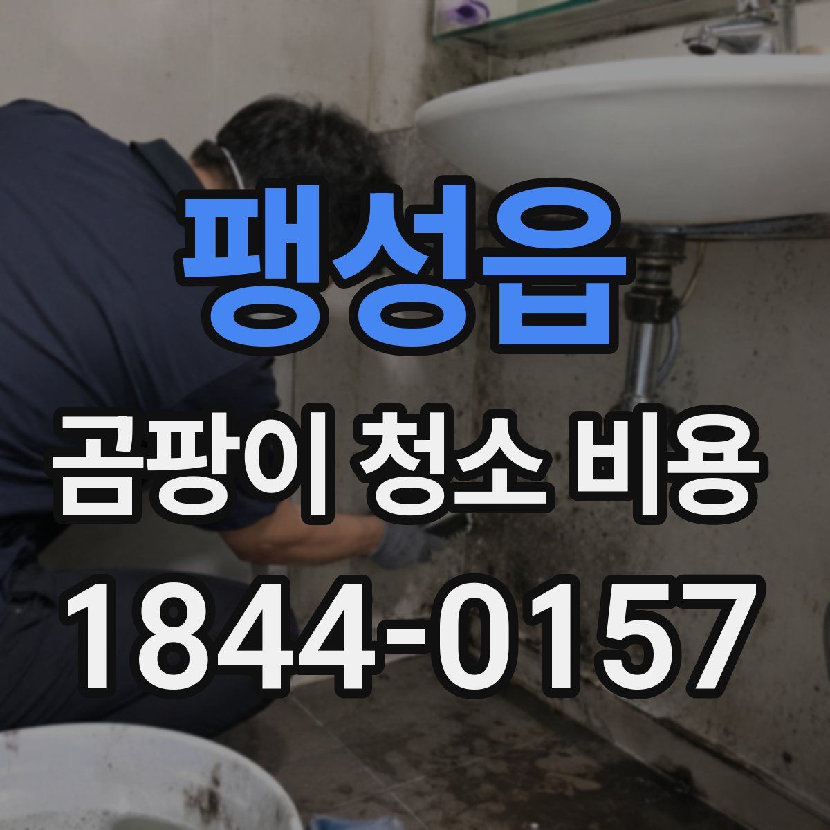팽성읍 곰팡이 청소 비용
