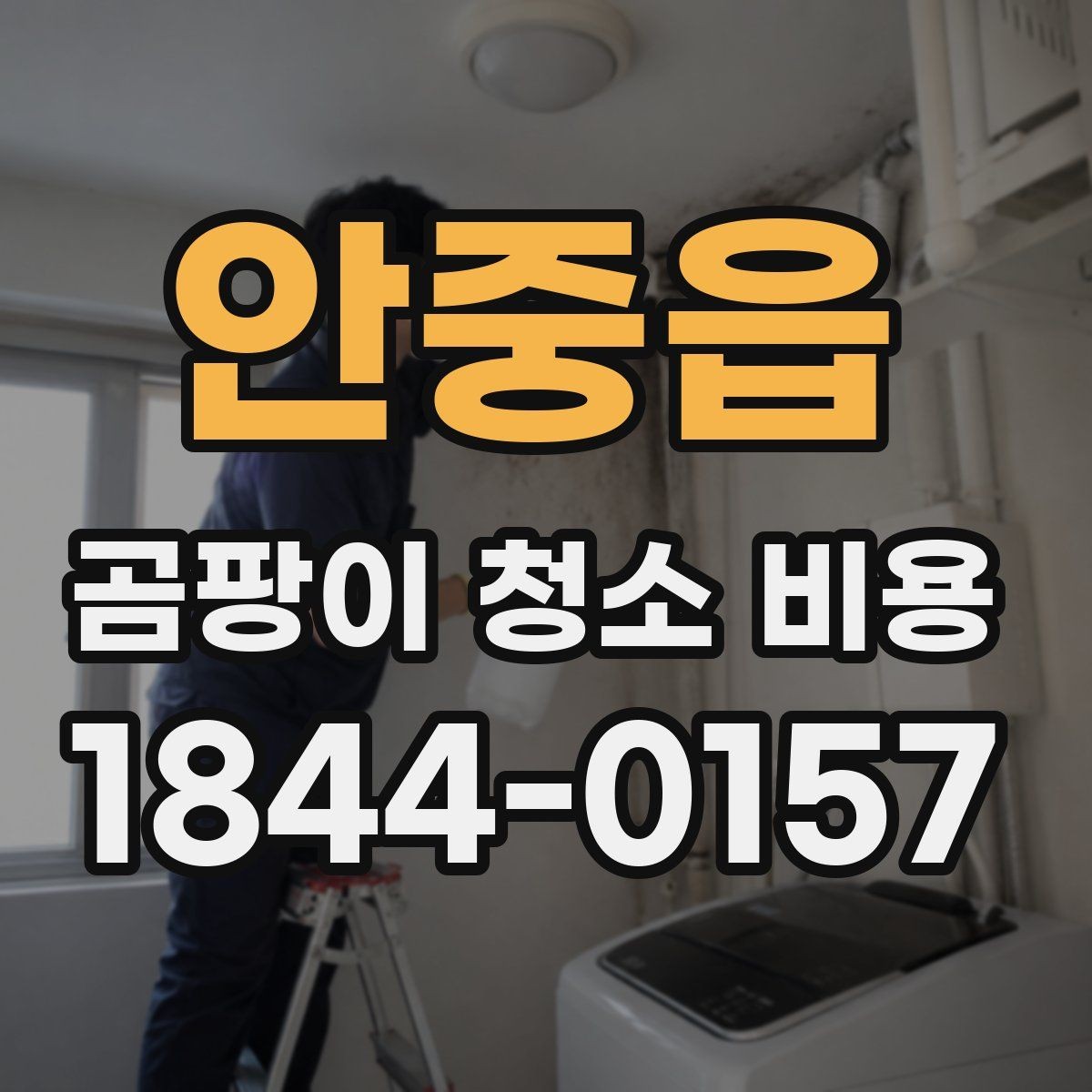 안중읍 곰팡이 청소 비용 벽지와 실리콘 오염을 구분해 보는 방법