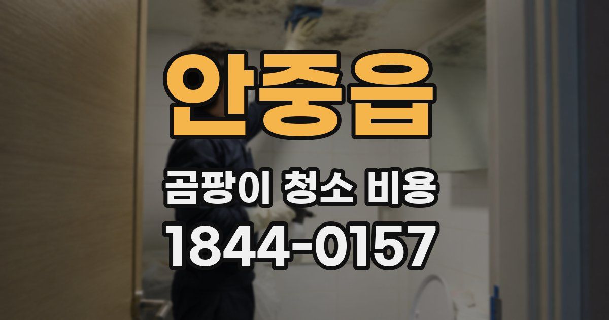 안중읍 곰팡이 청소 비용