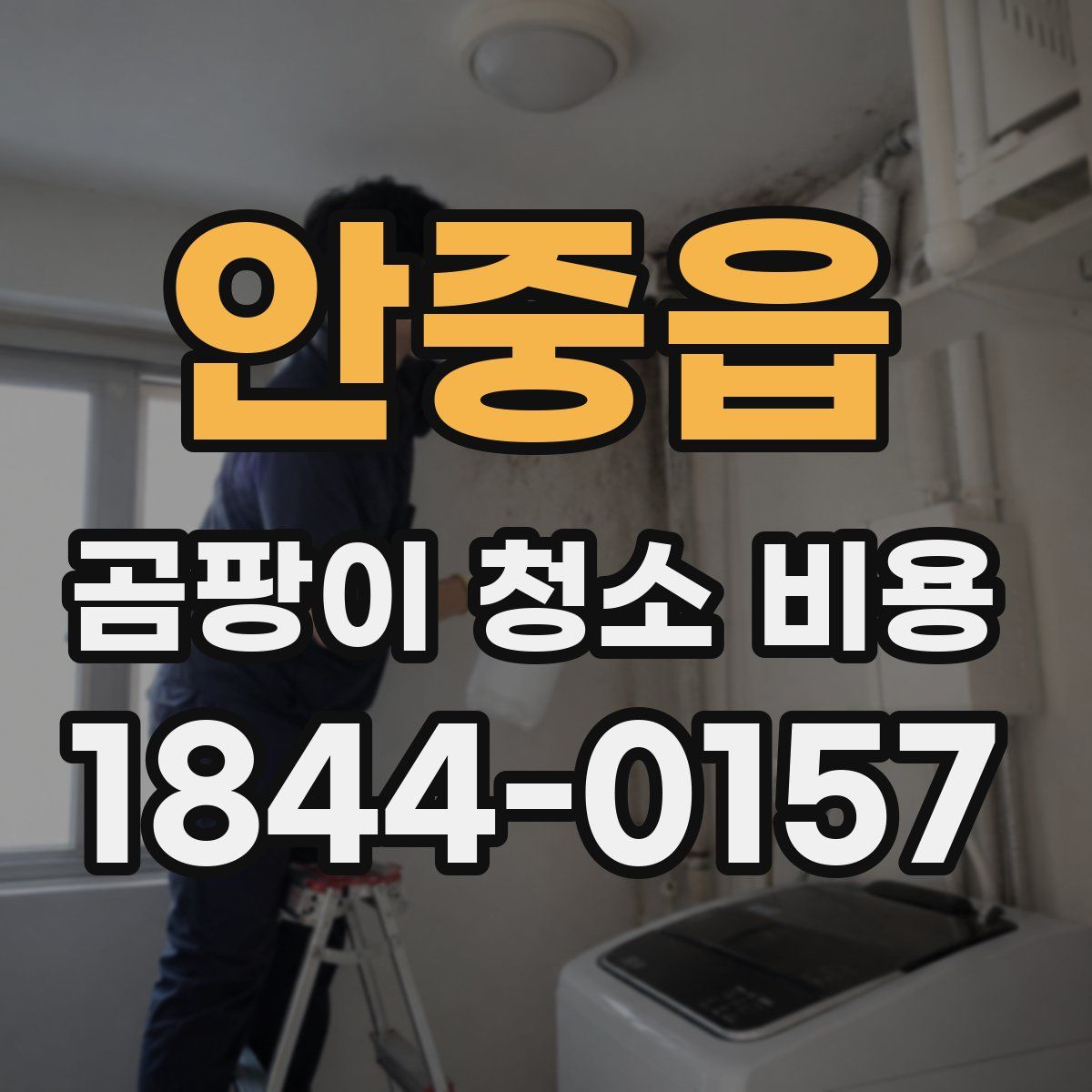 안중읍 곰팡이 청소 비용