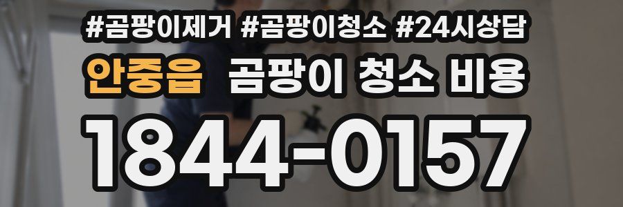안중읍 곰팡이 청소 비용