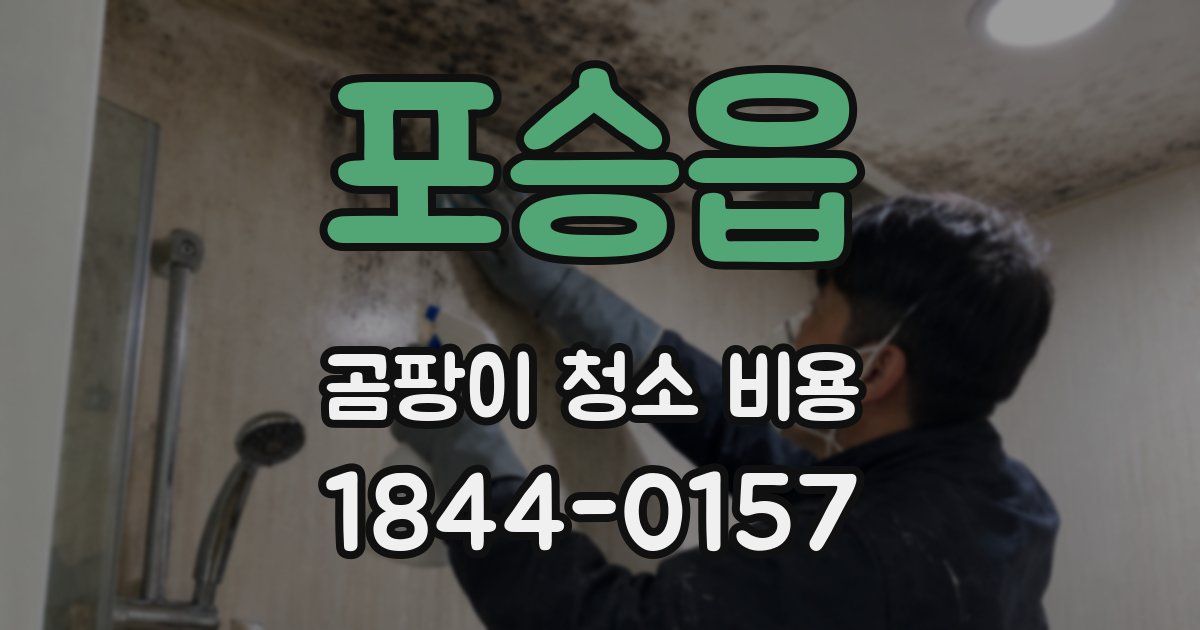 포승읍 곰팡이 청소 비용
