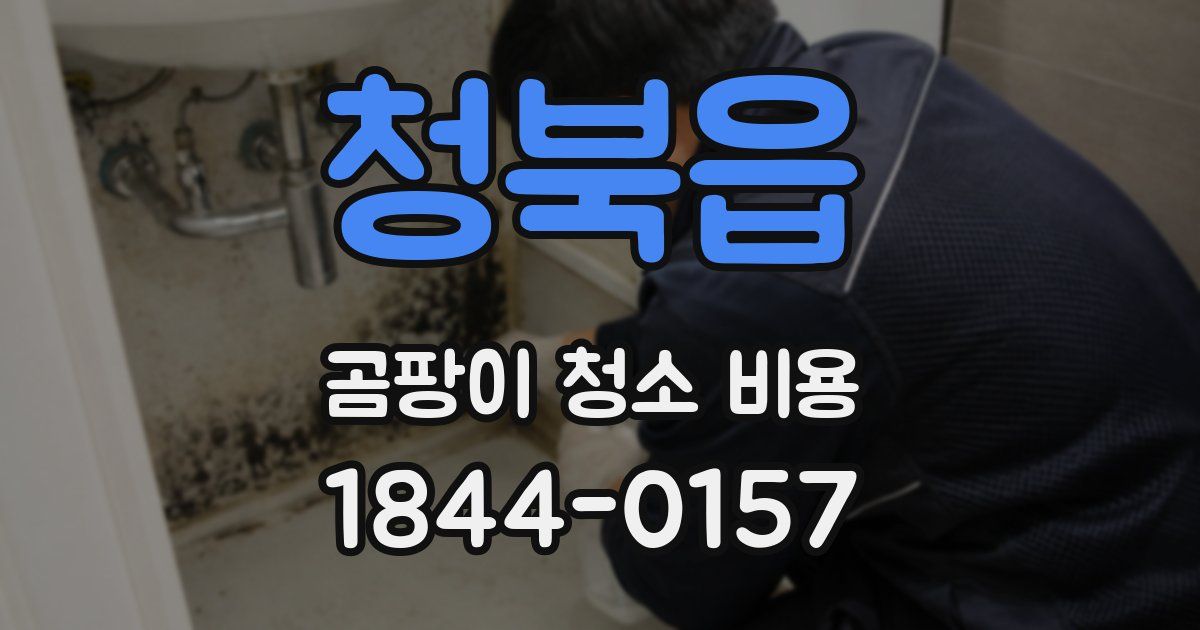 청북읍 곰팡이 청소 비용