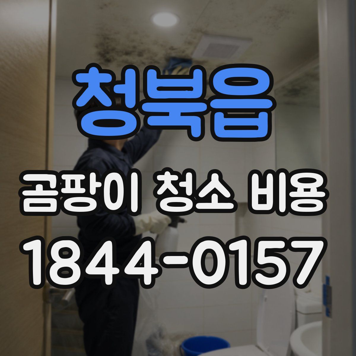 청북읍 곰팡이 청소 비용