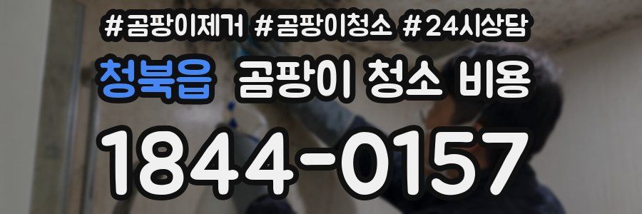 청북읍 곰팡이 청소 비용