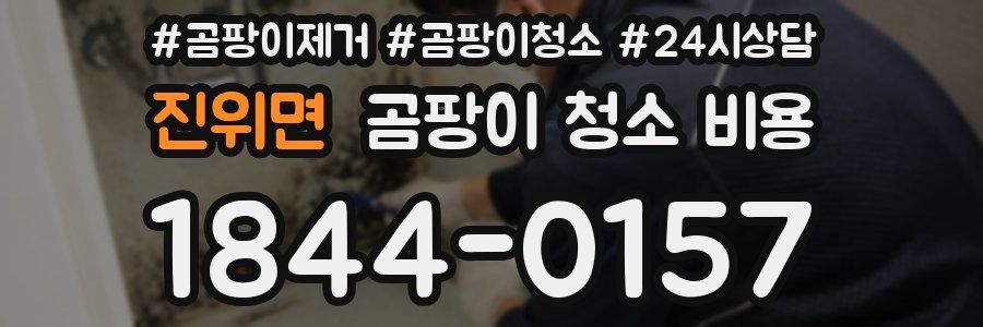 진위면 곰팡이 청소 비용