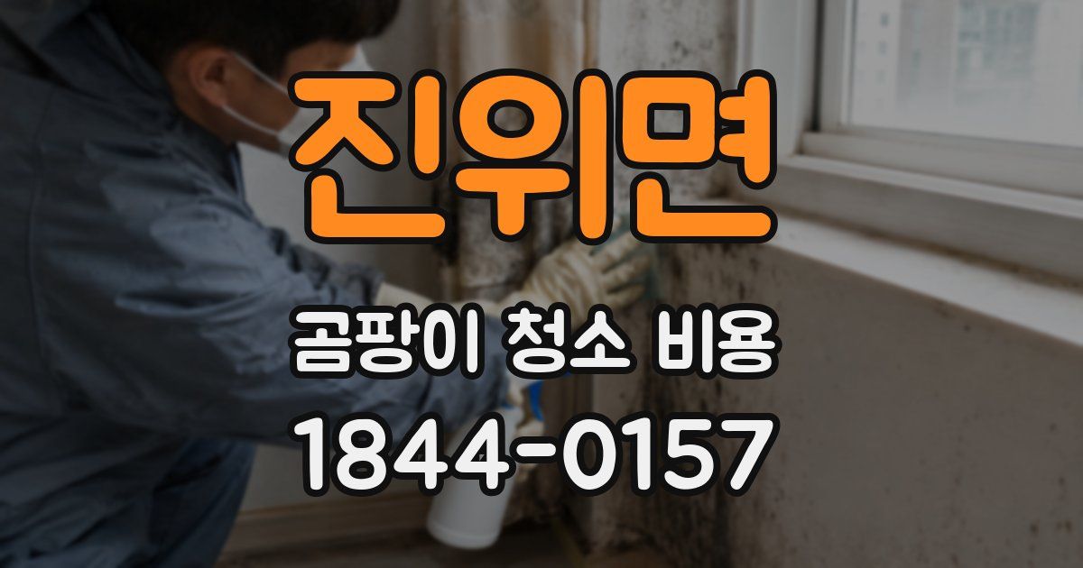 진위면 곰팡이 청소 비용