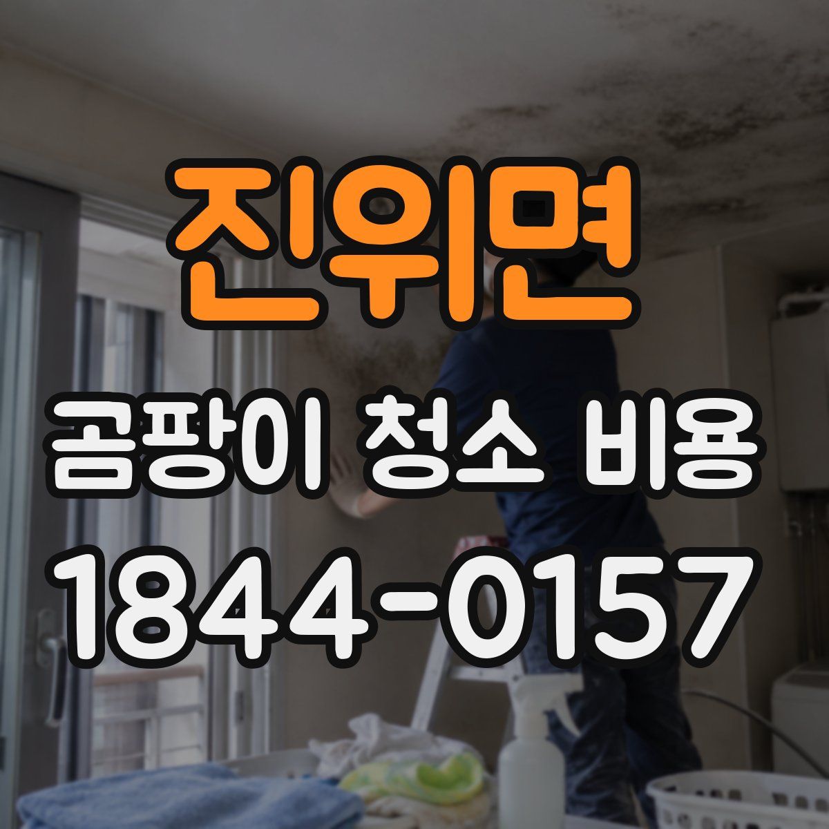 진위면 곰팡이 청소 비용