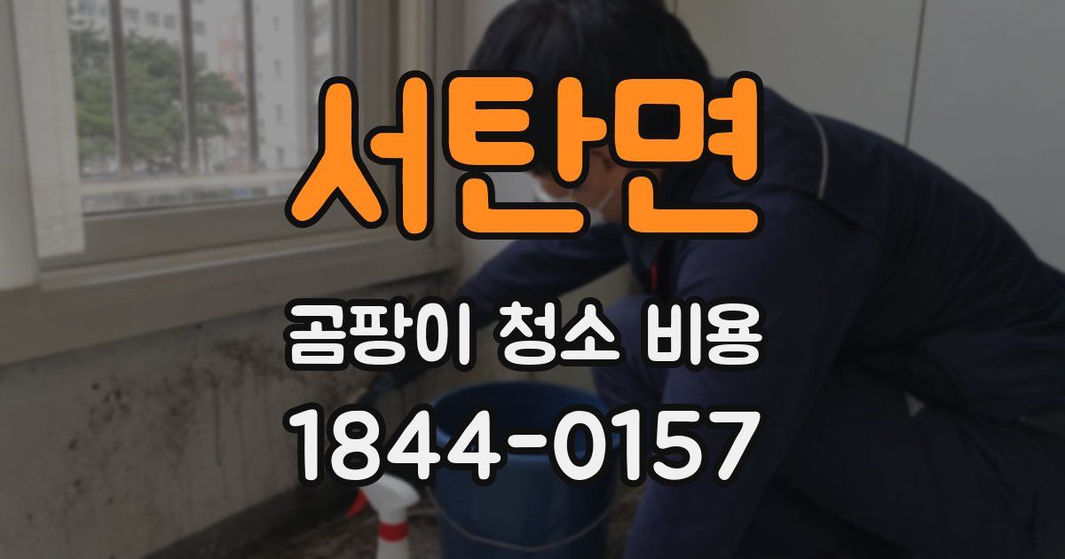 서탄면 곰팡이 청소 비용