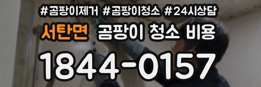 서탄면 곰팡이 청소 비용