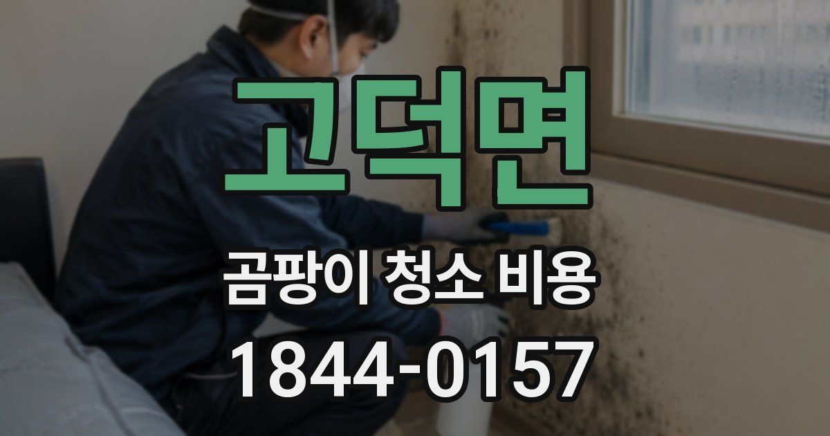 고덕면 곰팡이 청소 비용