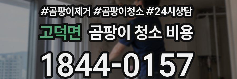 고덕면 곰팡이 청소 비용