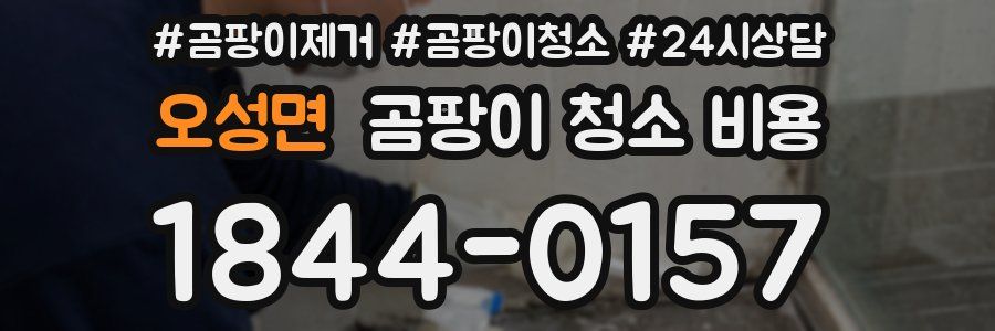오성면 곰팡이 청소 비용
