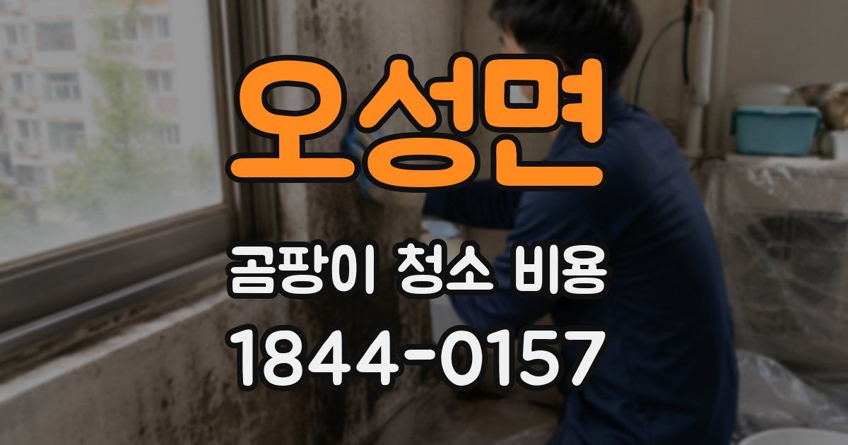 오성면 곰팡이 청소 비용