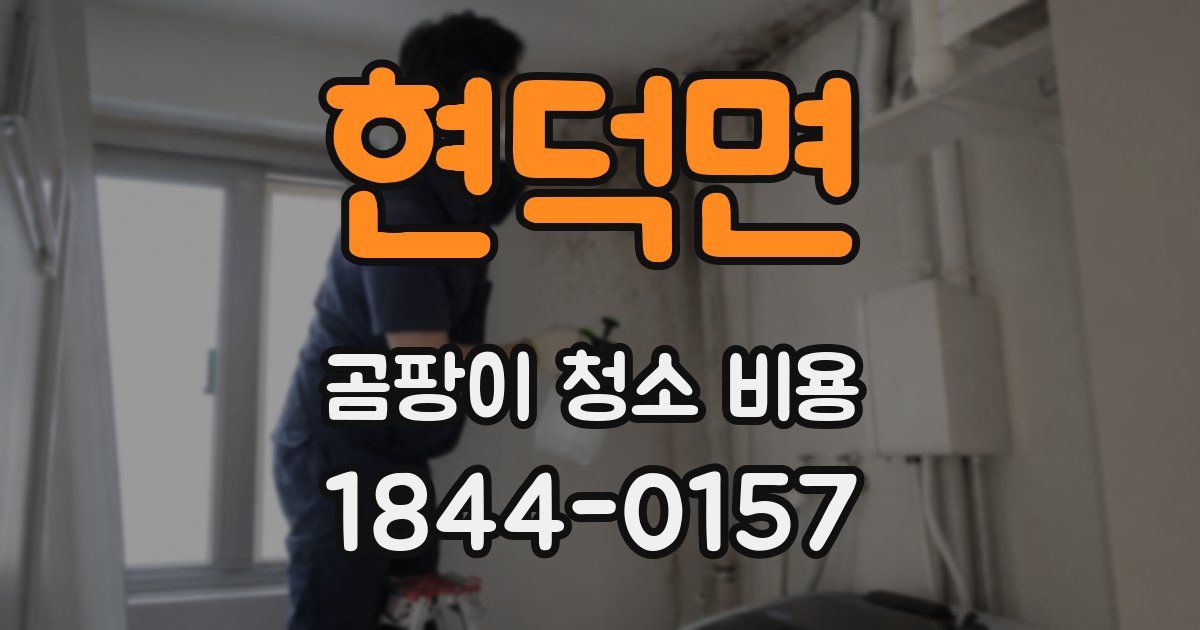 현덕면 곰팡이 청소 비용