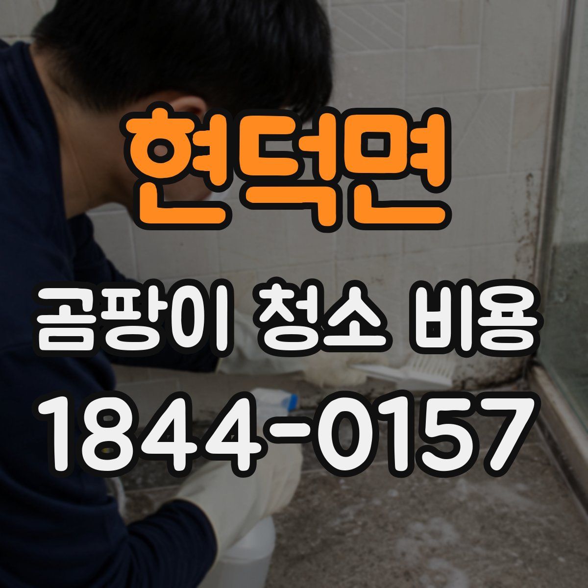 현덕면 곰팡이 청소 비용