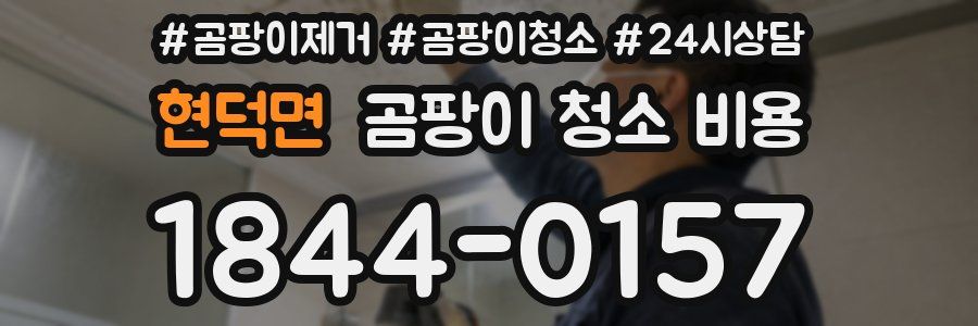 현덕면 곰팡이 청소 비용