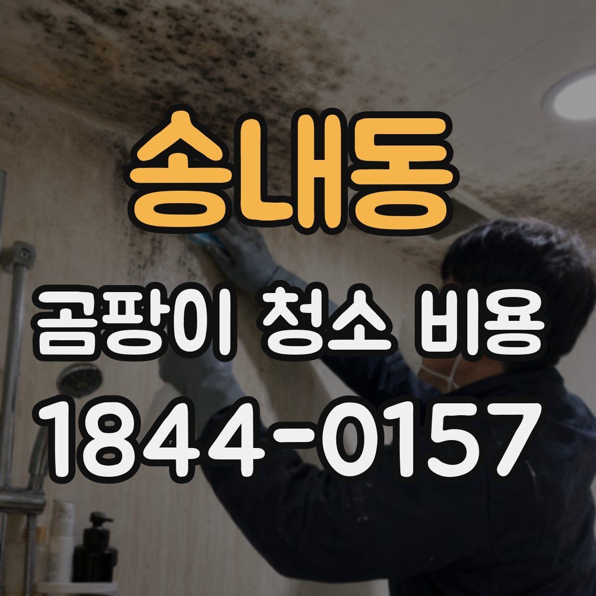 송내동 곰팡이 청소 비용 실리콘 오염이 반복되는 이유