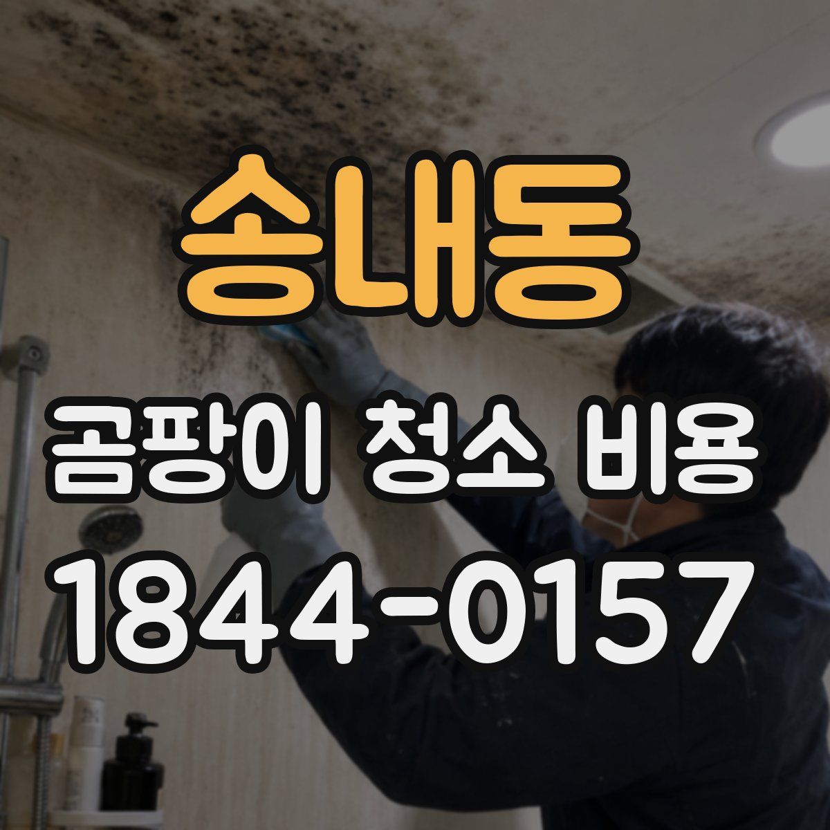 송내동 곰팡이 청소 비용