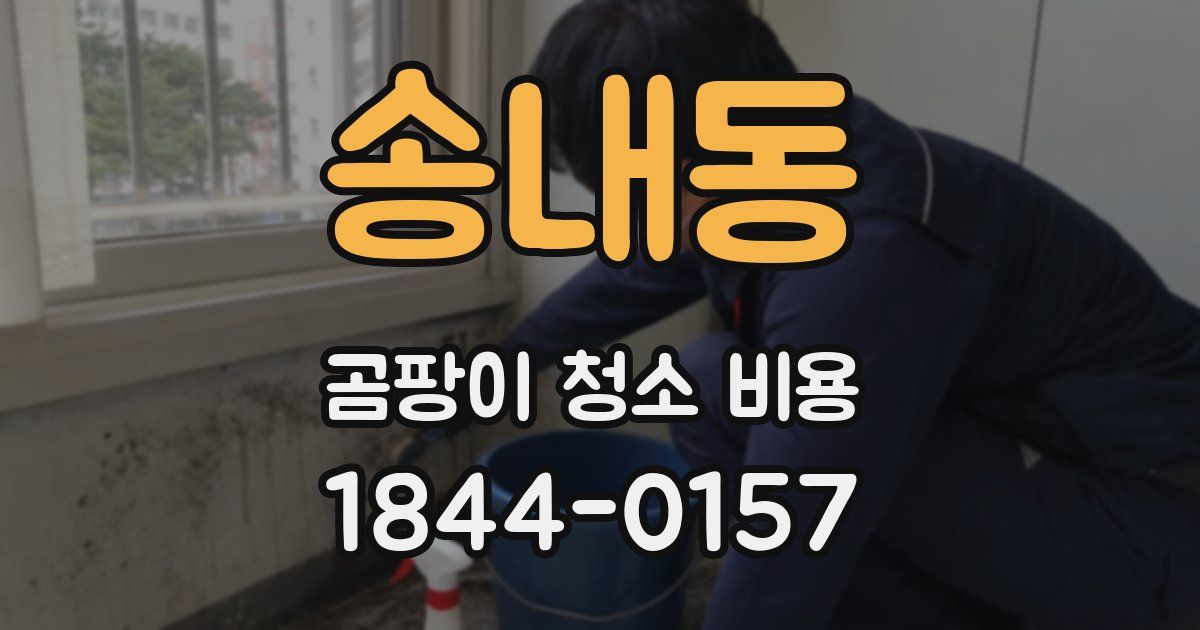 송내동 곰팡이 청소 비용