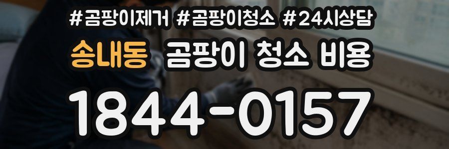 송내동 곰팡이 청소 비용