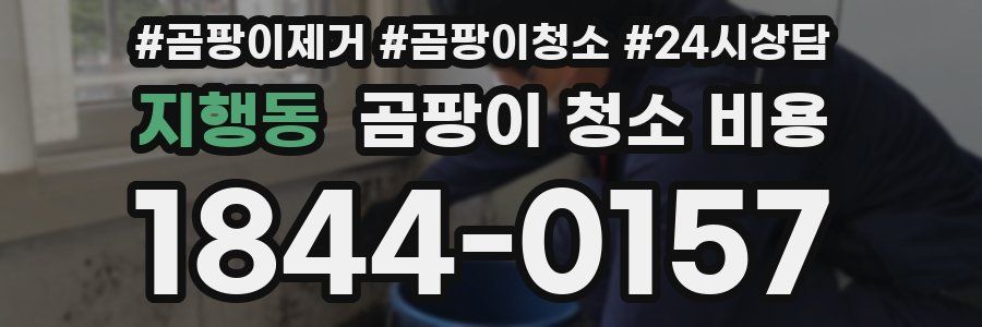 지행동 곰팡이 청소 비용