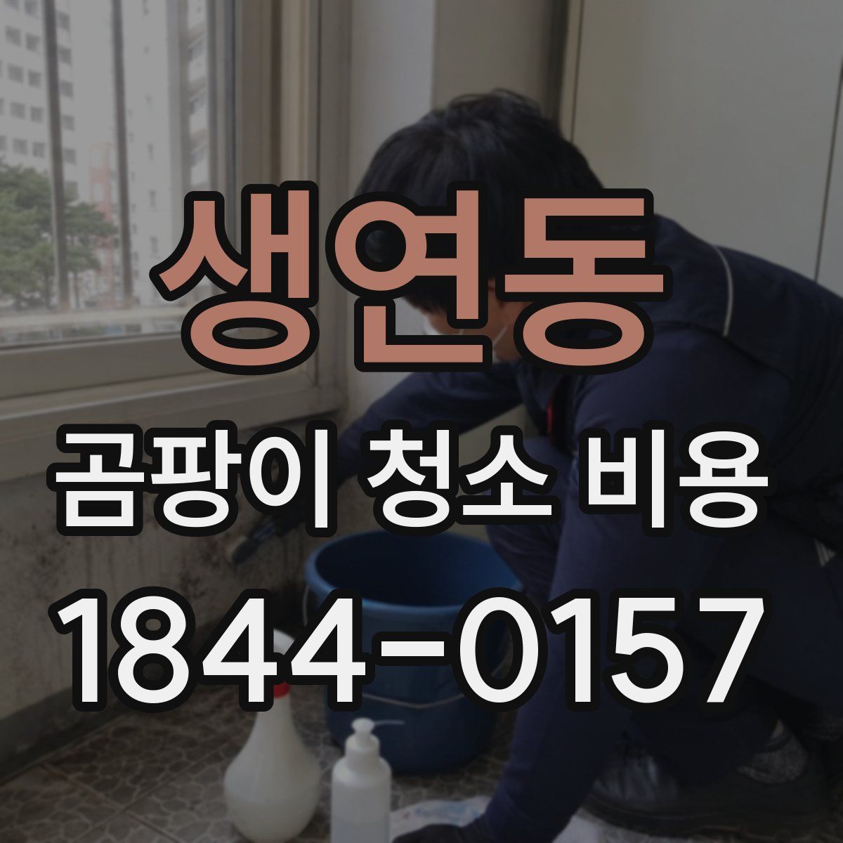 생연동 곰팡이 청소 비용