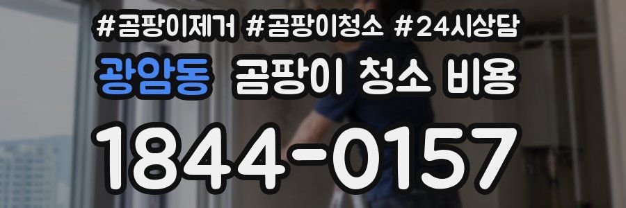 광암동 곰팡이 청소 비용