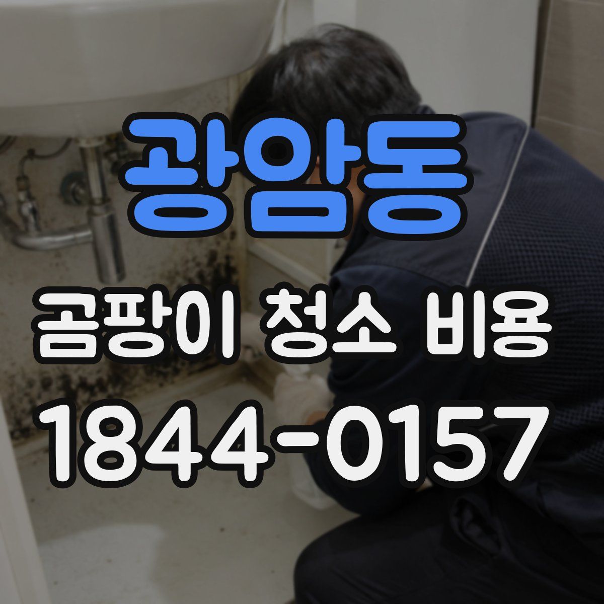 광암동 곰팡이 청소 비용